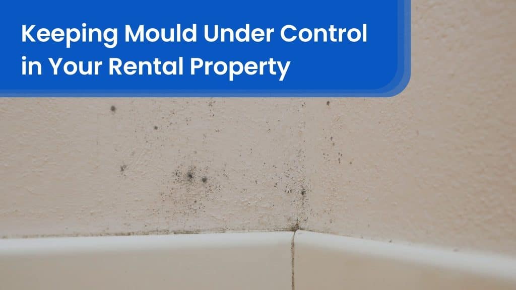 What to do when a structure is not council approved 16 Keeping Mould Under Control in Your Rental Property hero image